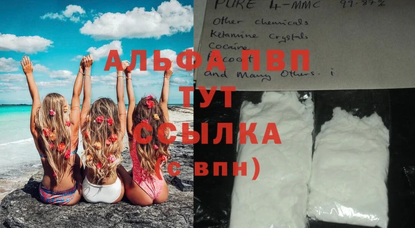 PSILOCYBIN Армянск